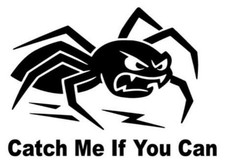 1x  SPINNE -Catch Me If You Can Autoaufkleber  Sticker 15x11cm Film Lustig