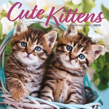 Carousel Calendars,  Kittens Cute 2026 Wall Calendar, 12'' X 12'', 16-Month Cale