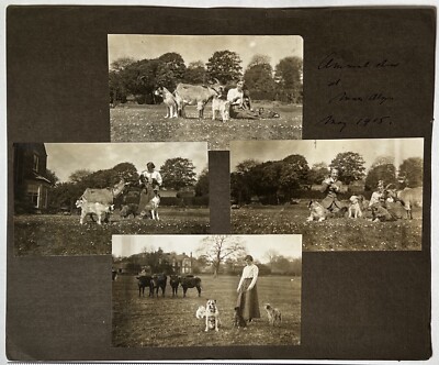 Four Antique Vintage 1915 Photo Collage of ''Animal Run Mrs Aly May 1915 