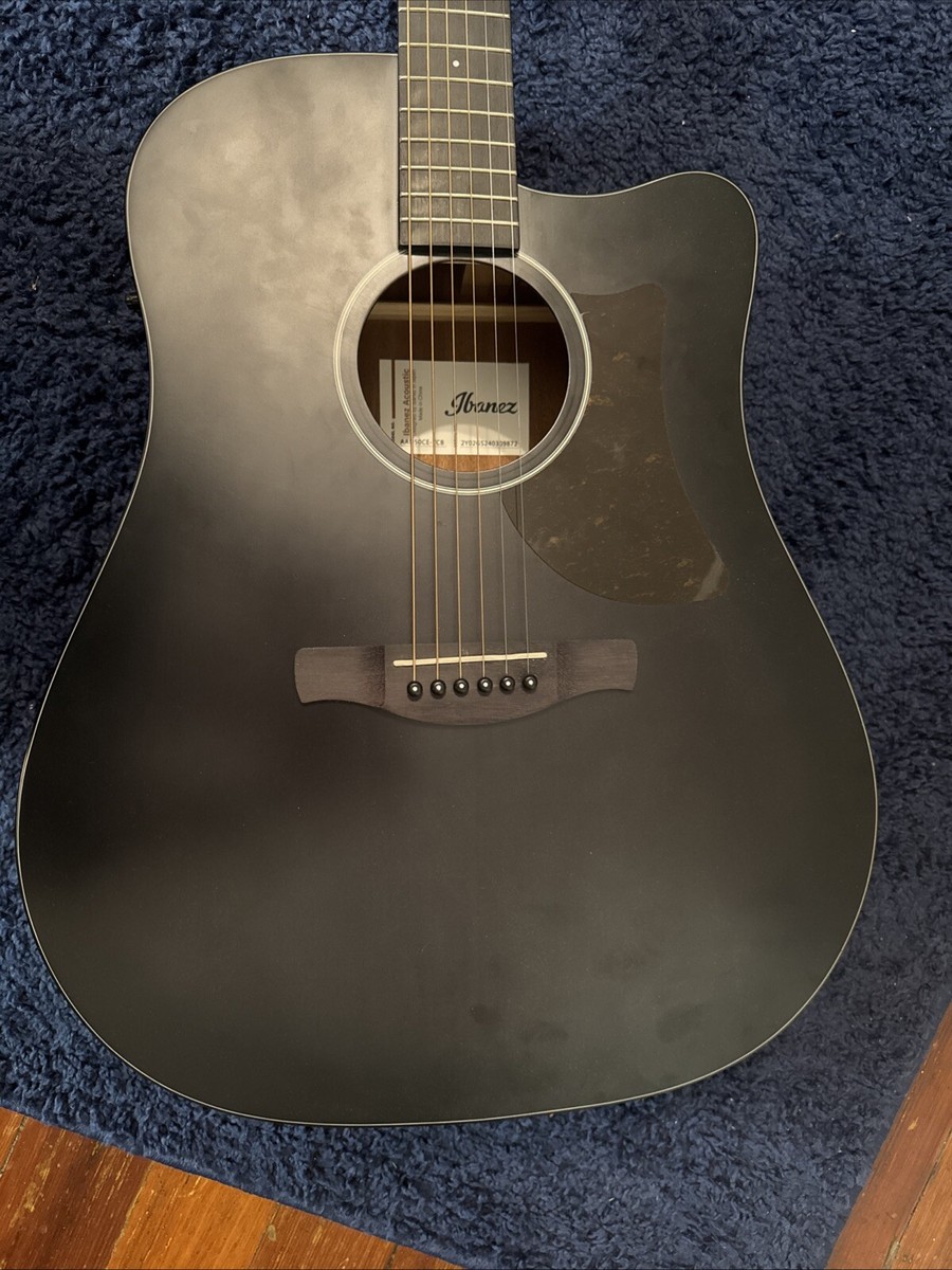 Ibanez Dreadnought Acoustic Guitar - Brown (AEQ-TP2) 663701809992