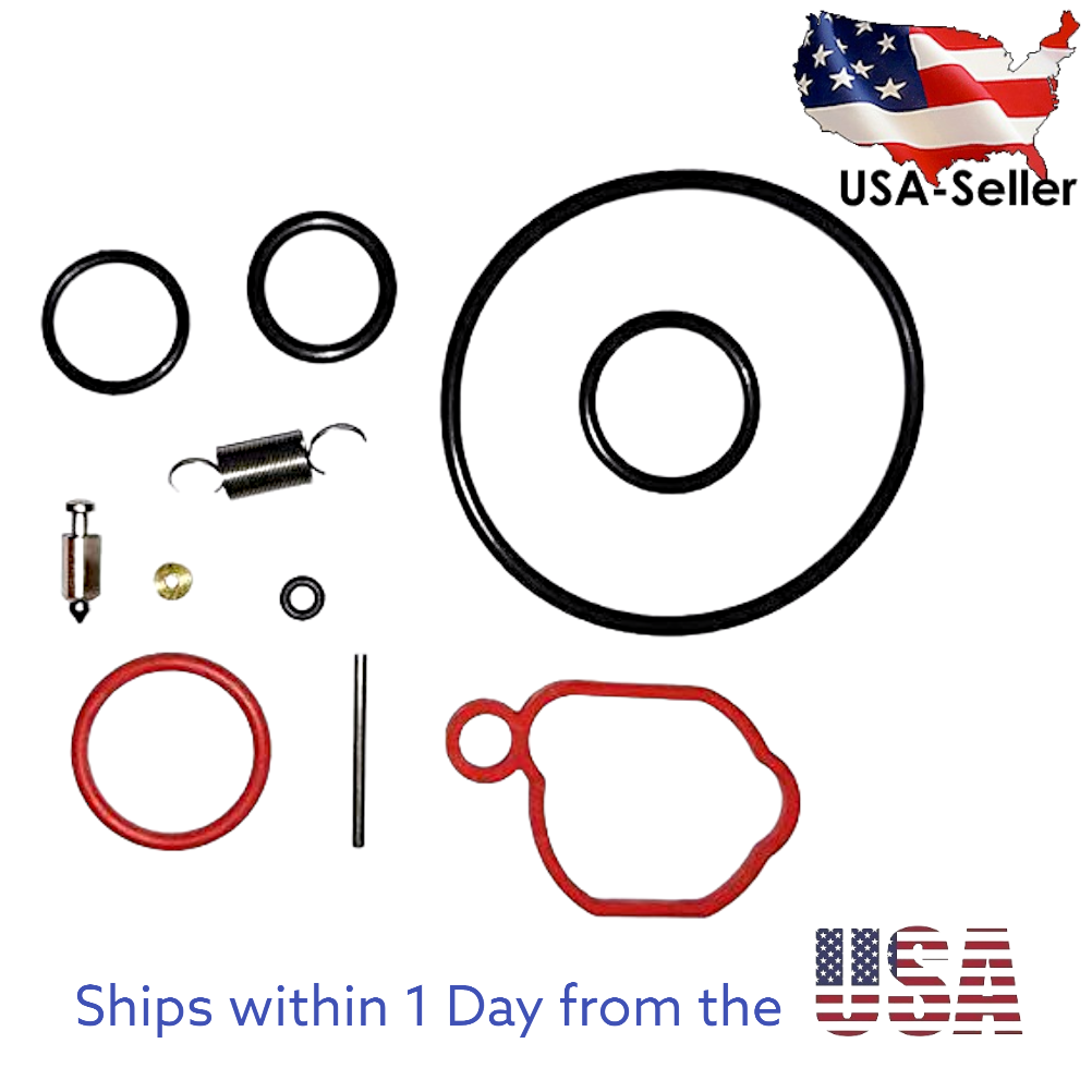 Carburetor Repair Kit Replacement for Briggs Stratton 590589 Engine Mower