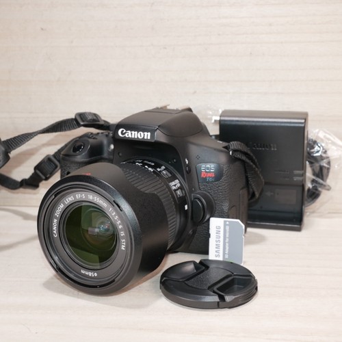 Canon EOS Rebel T6I Digitale Spiegelreflex mit EF-S 18-55mm IS STM Objektiv Shutter 18.121