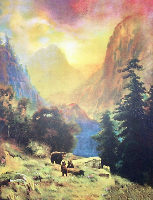 Bears Way up in the Mountains Trees by R.A Fox