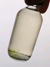Ostracod, Copepod And Deitritus Worm Aquarium...