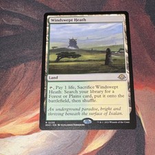Windswept Heath X1 Mtg Modern Horizons 3 Nm