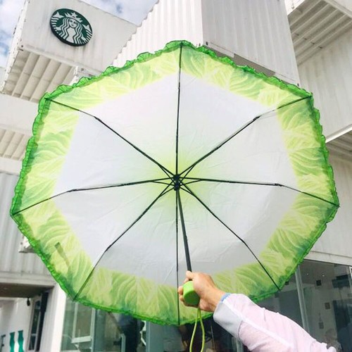 Green or Purple Cabbage Design Umbrella eBay