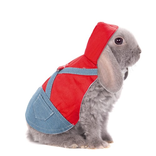 Small Red Rabbit Harness and Leash Set for Bunny Kitten Puppy Walking - Picture 6 of 6