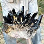 Bild 11 von 12