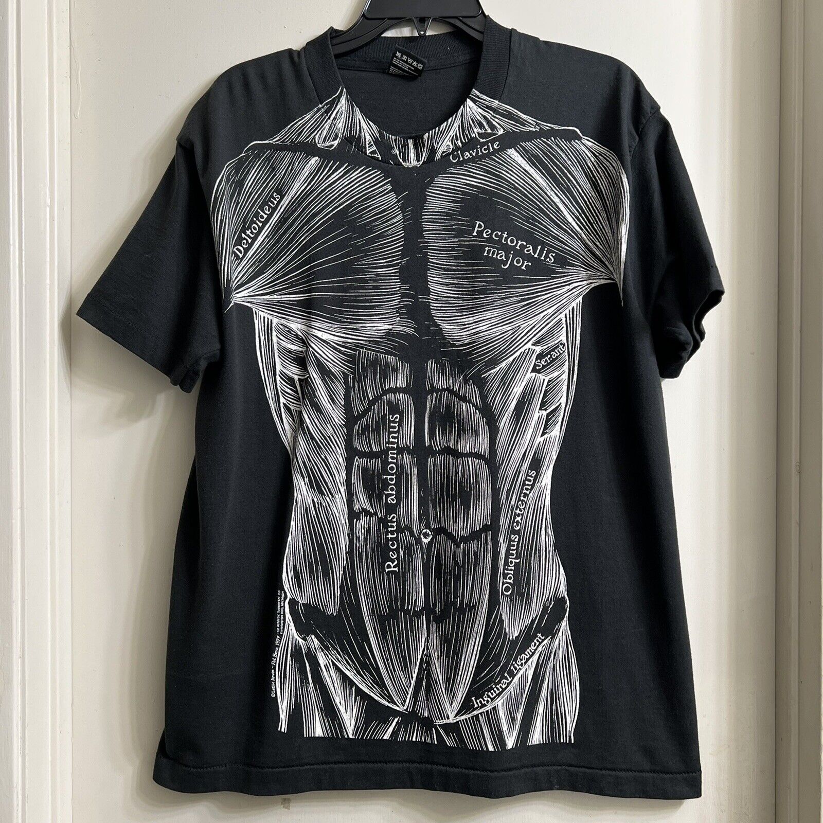 Rectus Abdominis T-Shirts for Sale