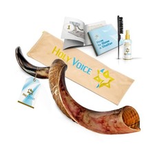 Holy Voice Kosher Kudu Shofar Horn from Israel   Traditional Half-Polished