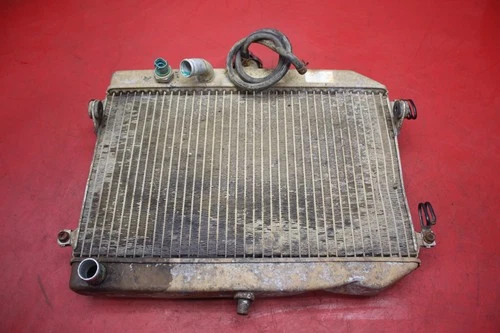 RADIATOR ASSY, WATER