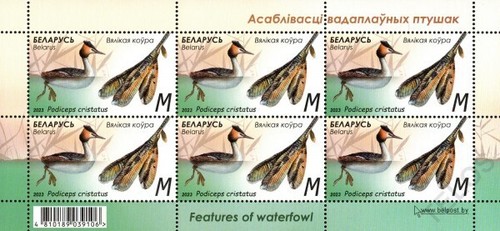 2023 Belarus Features of Waterfowl MNH - Picture 5 of 5