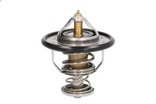 Thermostat Nissan TERRANO