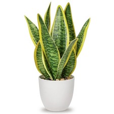 Artificial Snake Plant Potted Faux Sansevieria Trifasciata Plants, 13" Tropic...