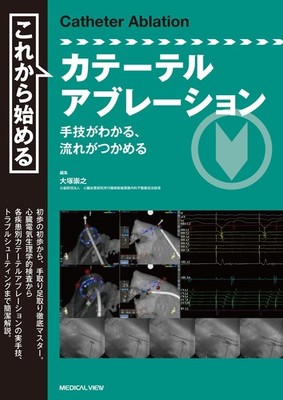 Starting Catheter Ablation   Understanding the Procedure and Workflow Tak [Book]