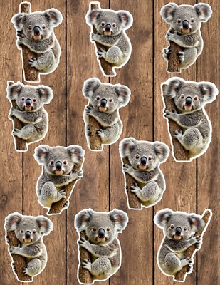 Koala Die Cut Vinyl Stickers Set Scrapbooking Laptop Waterbottle 