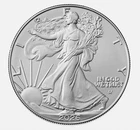 2026 $1 American Silver Eagle 1 oz Brilliant Uncirculated !