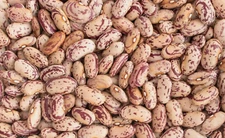 Bulk Pinto Beans, 1lb bags, Triple Washed, Non-GMO, Grown in USA