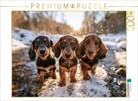 Calvendo Puzzle Love Knows No Leash | 2000 Pieces, Finished Size 35.4 × 26.4 In