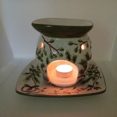 Yankee Candle Mistletoe Christmas Holiday Wax Melt Tart Warmer Raumduft