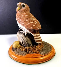 BLIND AWARD-WINNING MASTER CARVER Terry Matzke 7.5" Ferruginous Pygmy Owl