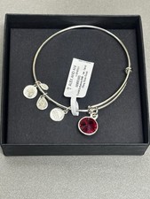 Alex and Ani Crystal Birthstone Charm Bangle January-Garnet Silver Bracelet NWT