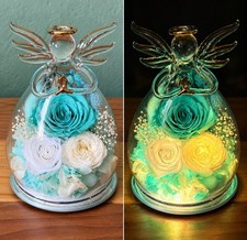 Glass Angel Preserved Rose Flower Dome LED Light Decor 5.5 Gift