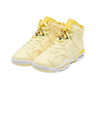 靴 AIR JORDAN 6 RETRO LTR 28cm Jordan 6 Retro LTR 'Flint' - Air Jordan - CI3125 100 - white/black