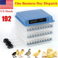 192 Automatic Eggs Incubator For Hatching Chicken With Egg Turning And Humid