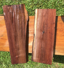 2 PC Black Walnut Blank Blocks Slab Burl Crotch 6 pounds pics for size