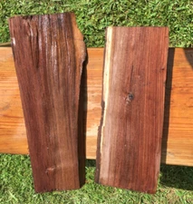 2 PC Black Walnut Blank Blocks Slab Burl Crotch 6 pounds pics for size