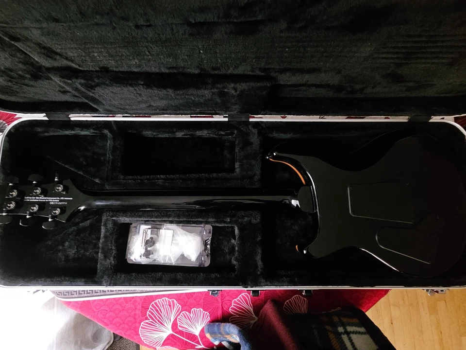 PRS SE Custom 24, photo 4 sur 5