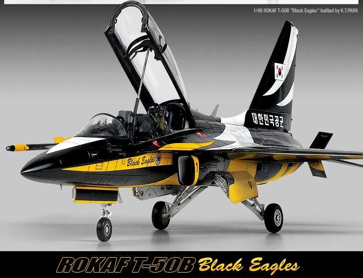 Academy 1/48 ROKAF T-50B Black Eagles Aircraft Air show Plastic
