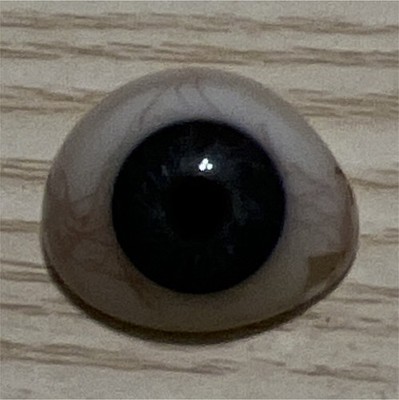 Blue & White Human Prosthetic Eye