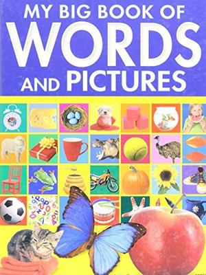 MY BIG BOOK OF WORDS AND PICTURES By Julie Haydon - Hardcover **Excellent**