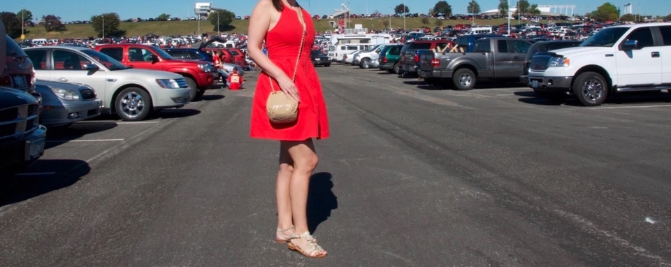 BB DAKOTA women's red & gray, fit and flare, 100% cotton full zipped dress, sz 6 - Image 2 of 4