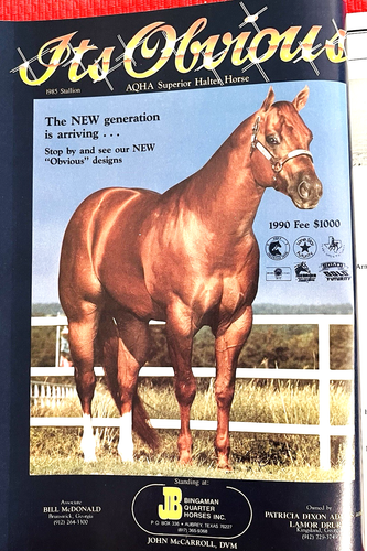 1990 QUARTER HORSE Journal, VINTAGE Magazine - SIR QUINCY DAN - ETERNAL FISTFUL - Foto 16 di 22