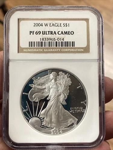 2004 W ~ NGC PF69 ULTRA CAMEO 1 OZ AMERICAN SILVER EAGLE