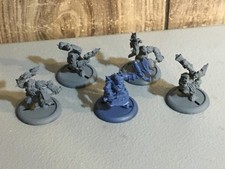 A33381 WARMACHINE HORDES TROLLBLOODS METAL TROLLKIN CHAMPIONS PP