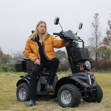 Heavy Duty 1000W 4 Wheel Mobility Scooters 25 Mile 3-Speed 500lb Capacity Black