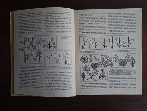1987 Soviet Book Textbook Floriculture ЦВЕТОВОДСТВО Практикум В.А. Бунин - Picture 6 of 20
