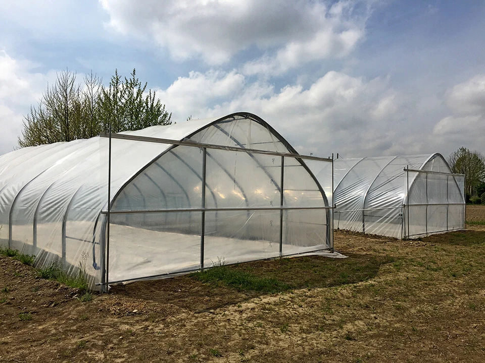 TELO TELONE IN POLIETILENE TRASPARENTE PER SERRE TUNNEL E COPERTURE VARIE MISURE - Immagine 2 di 3