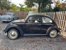 1965 Volkswagen Beetle Stock