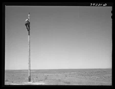 8" x 10" Photo 1941 Photo Lineman, electrical. Canyon County, Idaho