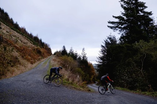 Hunt 4 Season Gravel Disc Wheelset - 700c - Shimano HG - Tubeless Ready - Picture 10 of 12