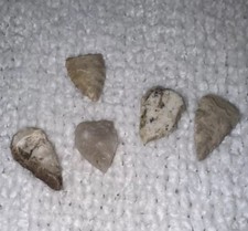 5 Mixed Arrowheads South Texas
