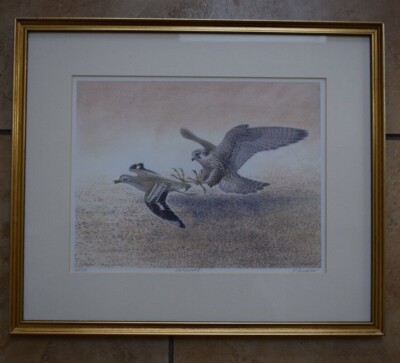 Limited Edition signed Print Wildlife Artist Philip Snow Saker & Stone Curlew