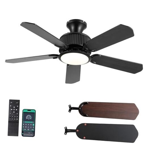 44In Low Profile Ceiling Fans with Lights and APP&Remote 44IN Black