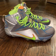 Nike LeBron 12 Trillion Dollar Man for Sale | Authenticity 