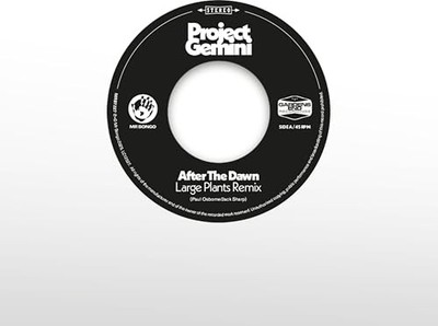 Project Gemini - After The Dawn Large Plants Remix / Darkness Rising - - F4z